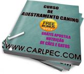 Curso de adestramento canino