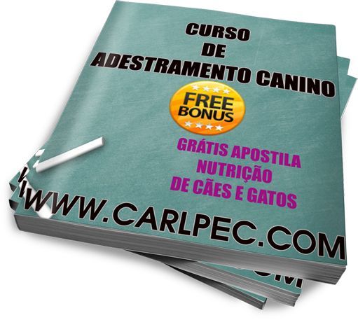 Curso de adestramento canino